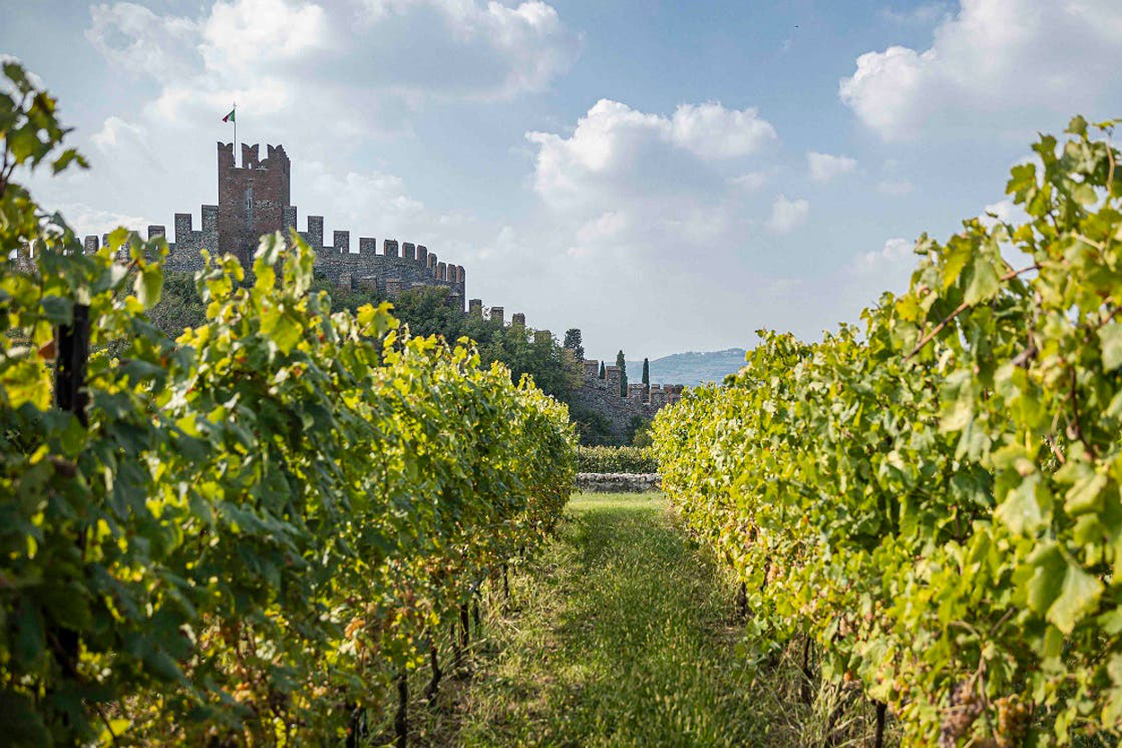 A Quick Guide to Soave