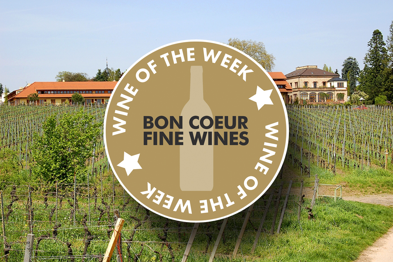 Wine of The Week: Villa Wolf Riesling Dry