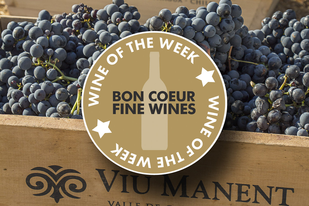 Wine of The Week: Viu Manent Secret Malbec 2020