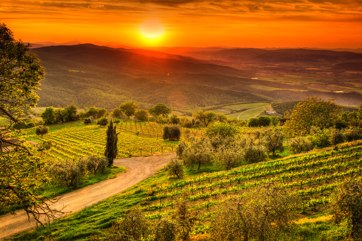 A Whistle-Stop Wine Tour of Tuscany