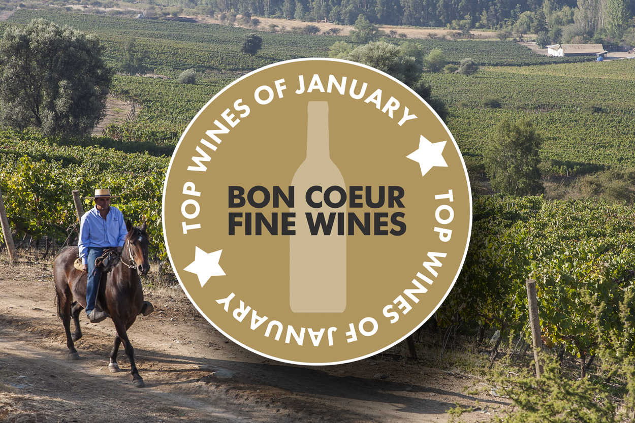 Top Wines of January