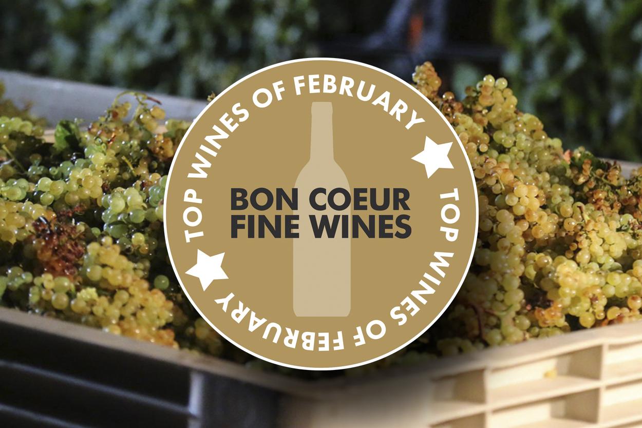 Top Wines of February