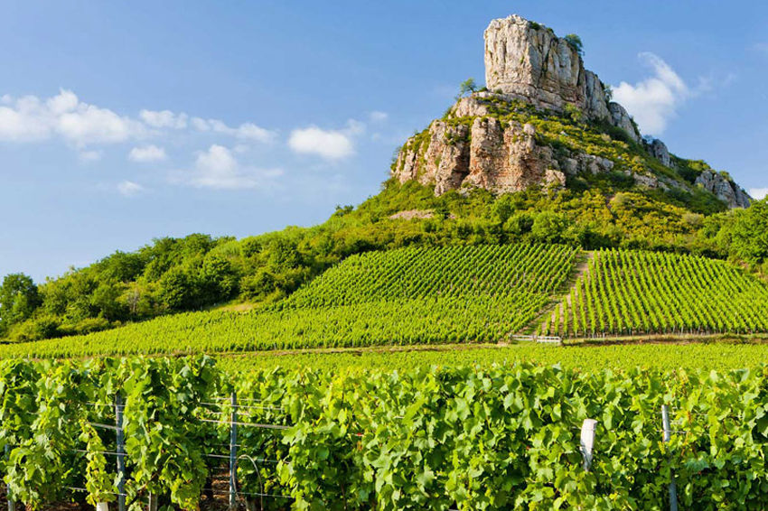 Best Six Chardonnay Wines Outside Burgundy