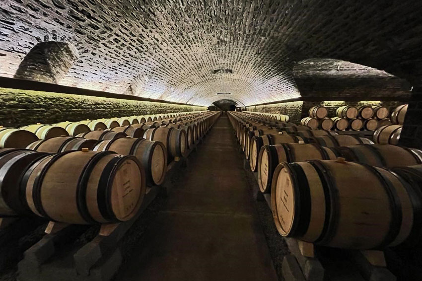 Burgundy 2020 En Primeur: Hidden Delights