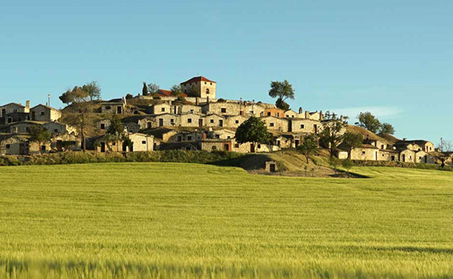 Bodegas Bardos