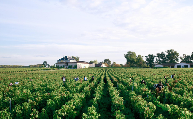 Chateau Haut-Bailly