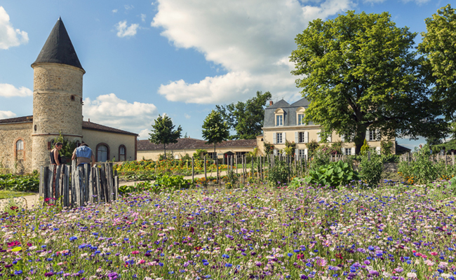 Chateau Guiraud