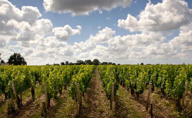 Chateau Lalande-Borie