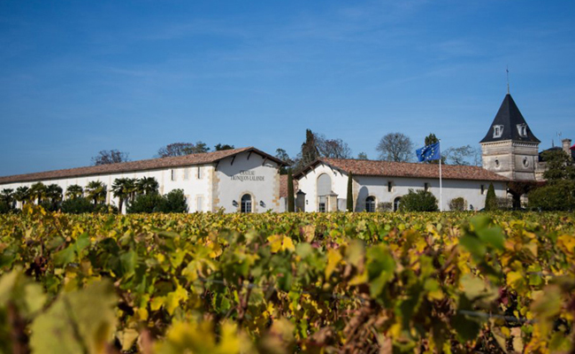 Chateau Tronquoy Lalande