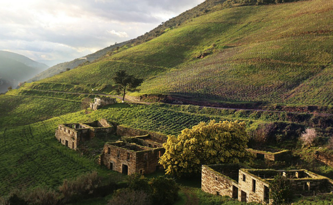 Herdade de Esporao