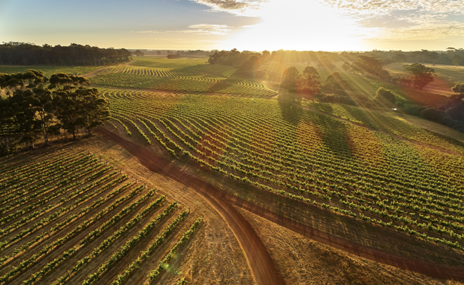 Leeuwin Estate