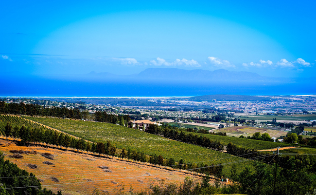 Post Tree Winery