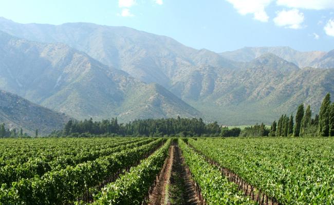 Aconcagua Valley