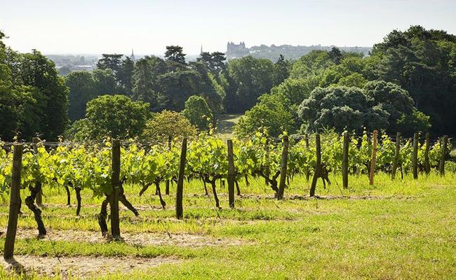 Loire Valley