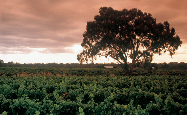 New South Wales