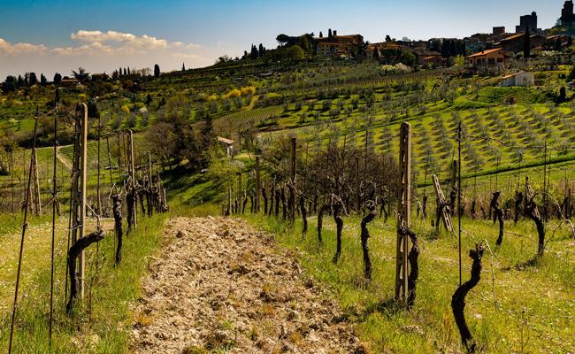 Tuscany