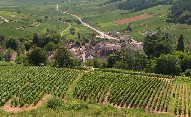 Domaine Jean-Jacques Girard Pernand-Vergelesse Blanc Les Belles Filles ...