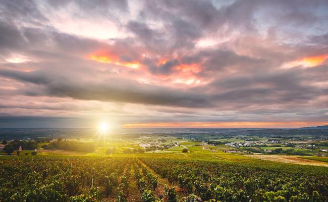 Beaujolais