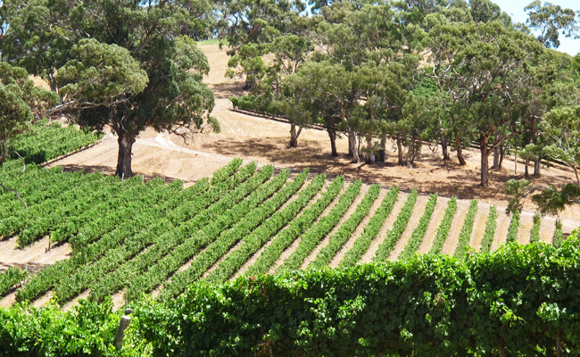 Adelaide Hills