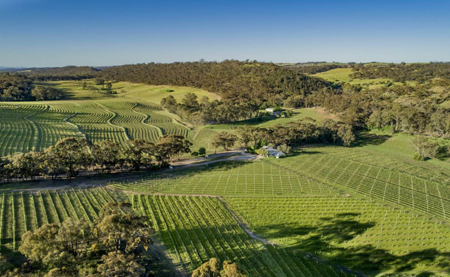 Clare Valley