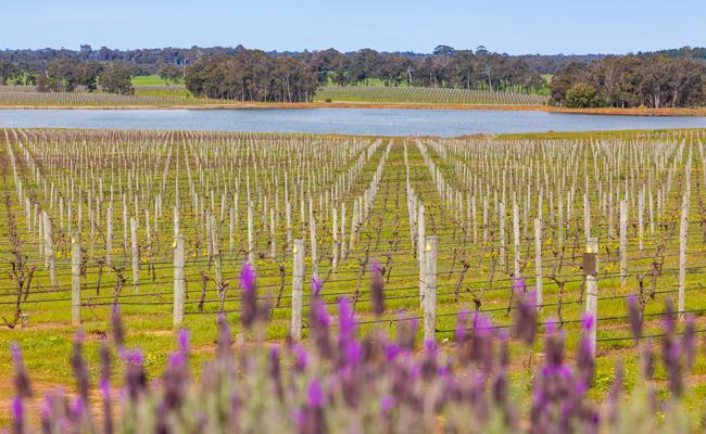 Margaret River