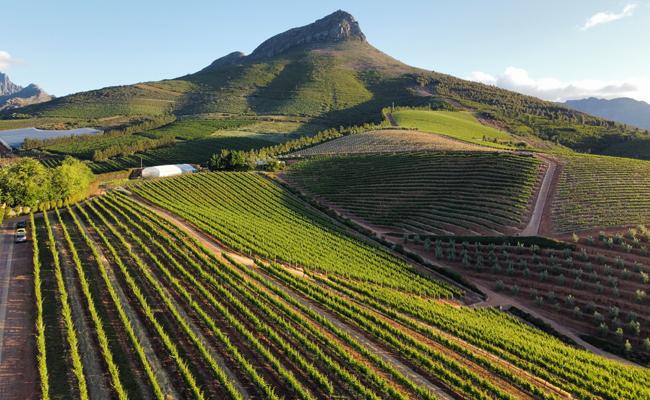 Stellenbosch