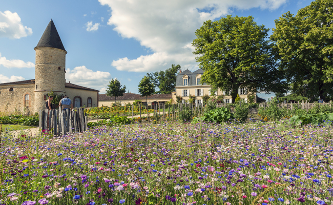 Sauternes & Barsac