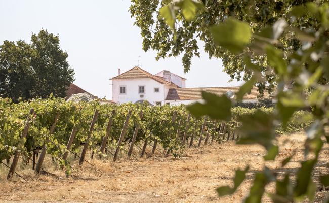 Quinta Da Alorna