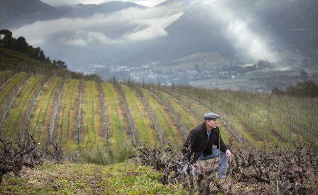 Old Road Wine Company